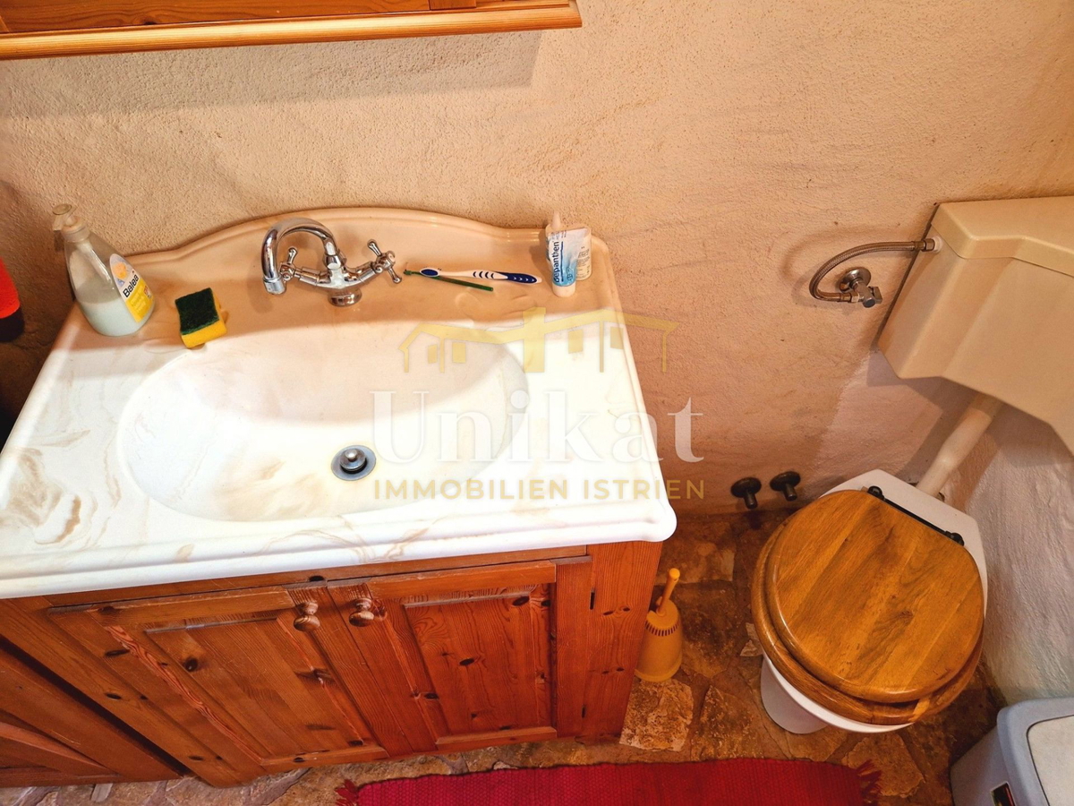 Avtentično posestvo s kamnito hišo in velikim zemljiščem